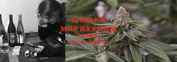 дурь Долгопрудный